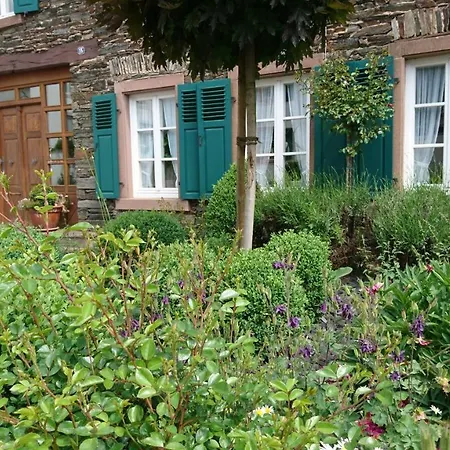 Appartement Alter Winzerhof