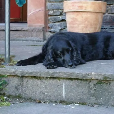 Alter Winzerhof