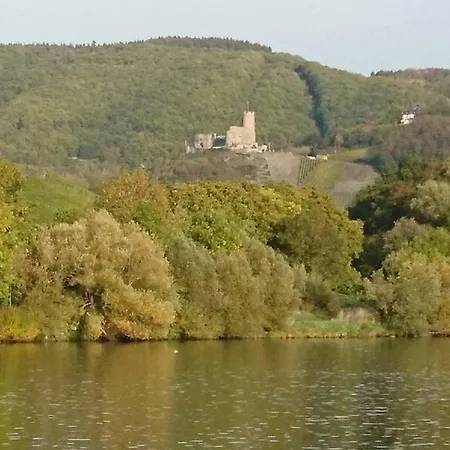 Alter Winzerhof Appartement Verbandsgemeinde Bernkastel-Kues